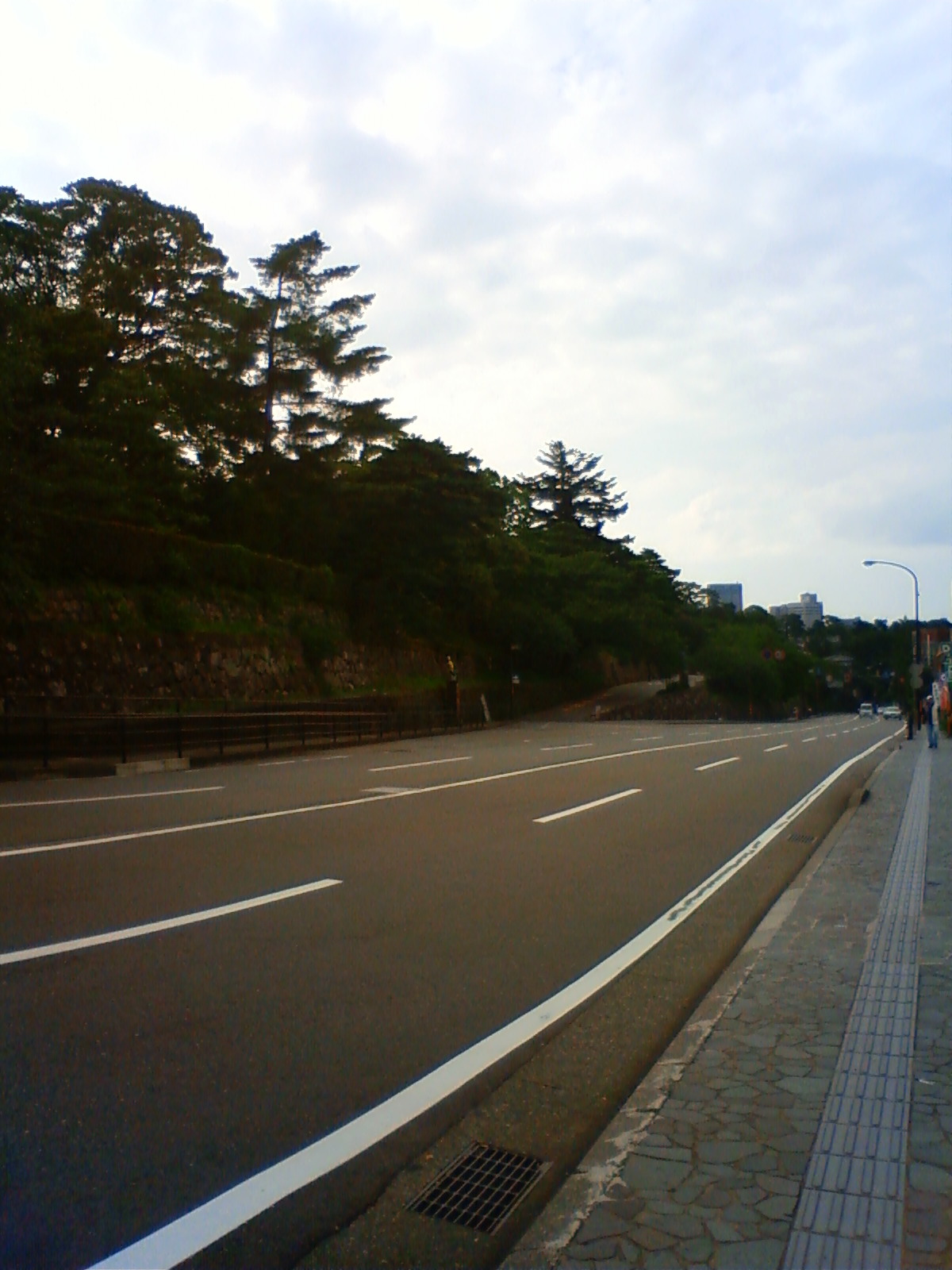 NEC_2375.JPG