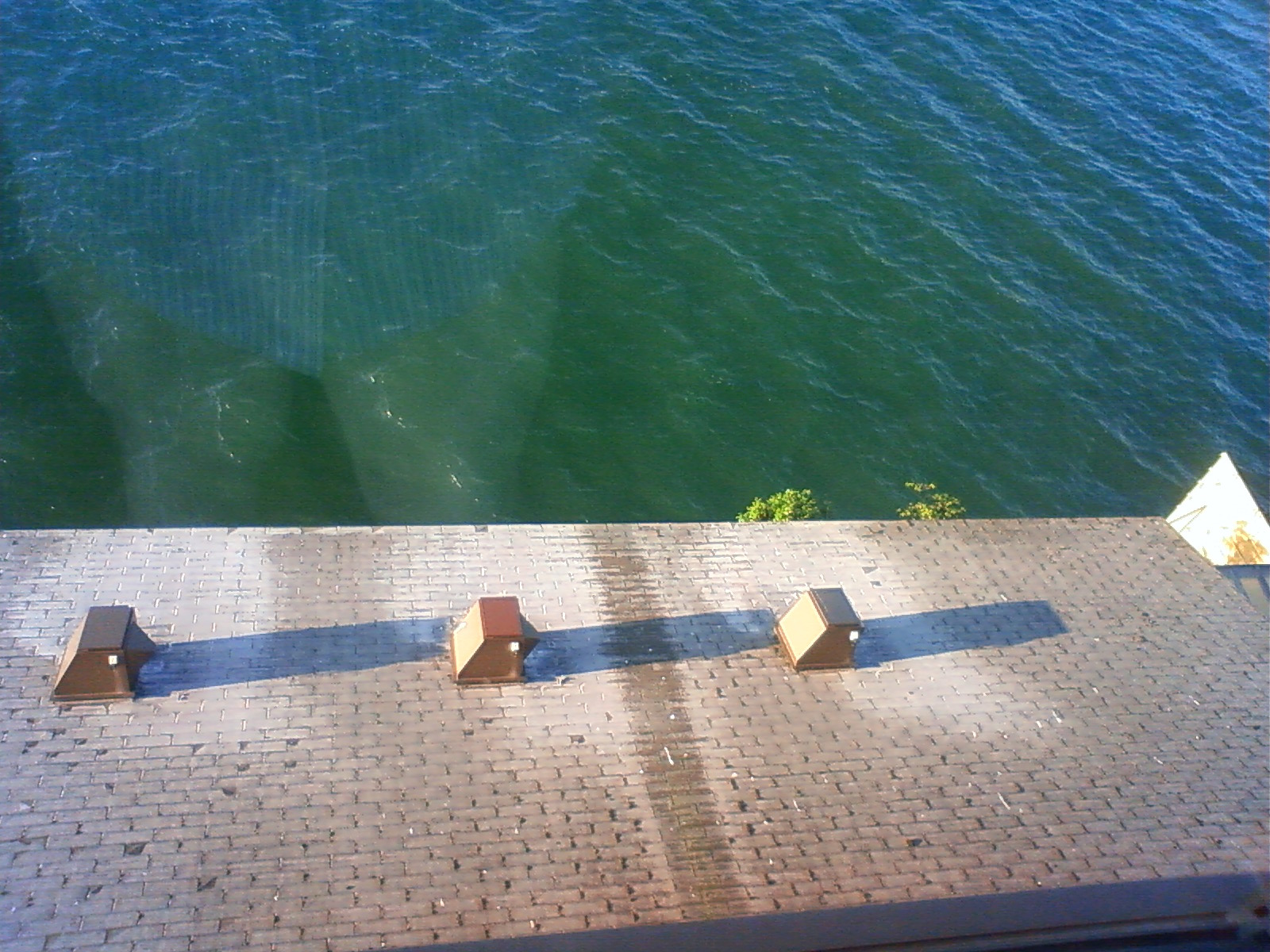NEC_2391.JPG