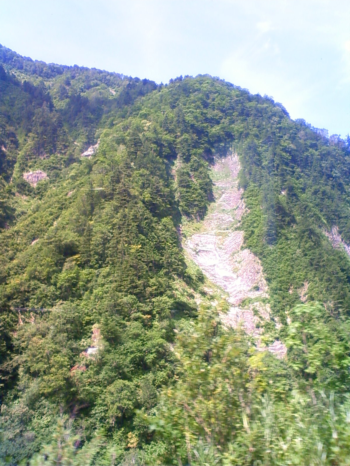 NEC_2405.JPG