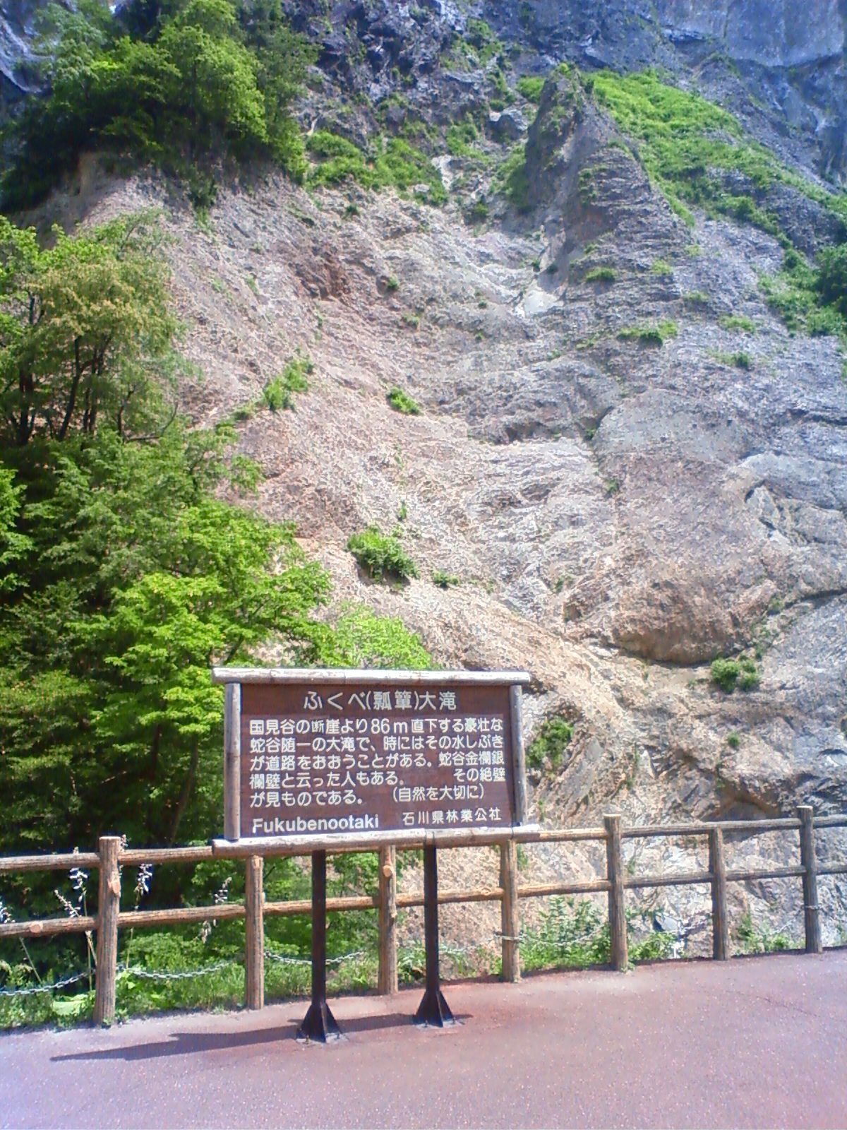 NEC_2414.JPG