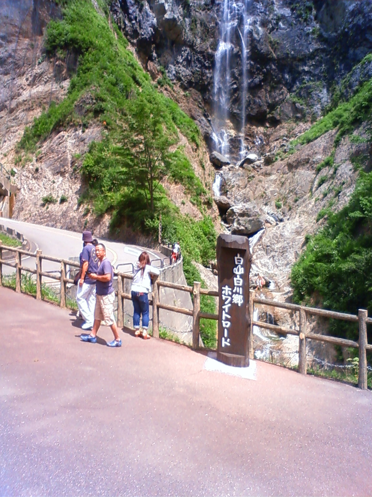 NEC_2415.JPG