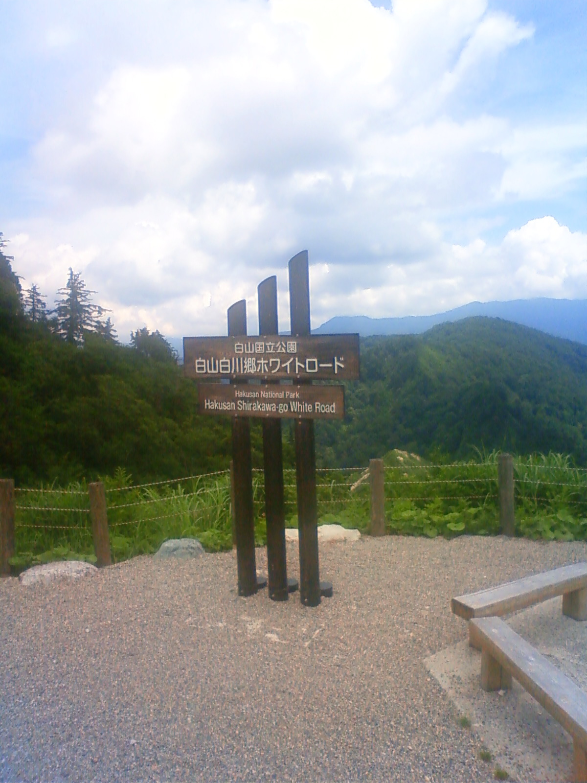 NEC_2420.JPG