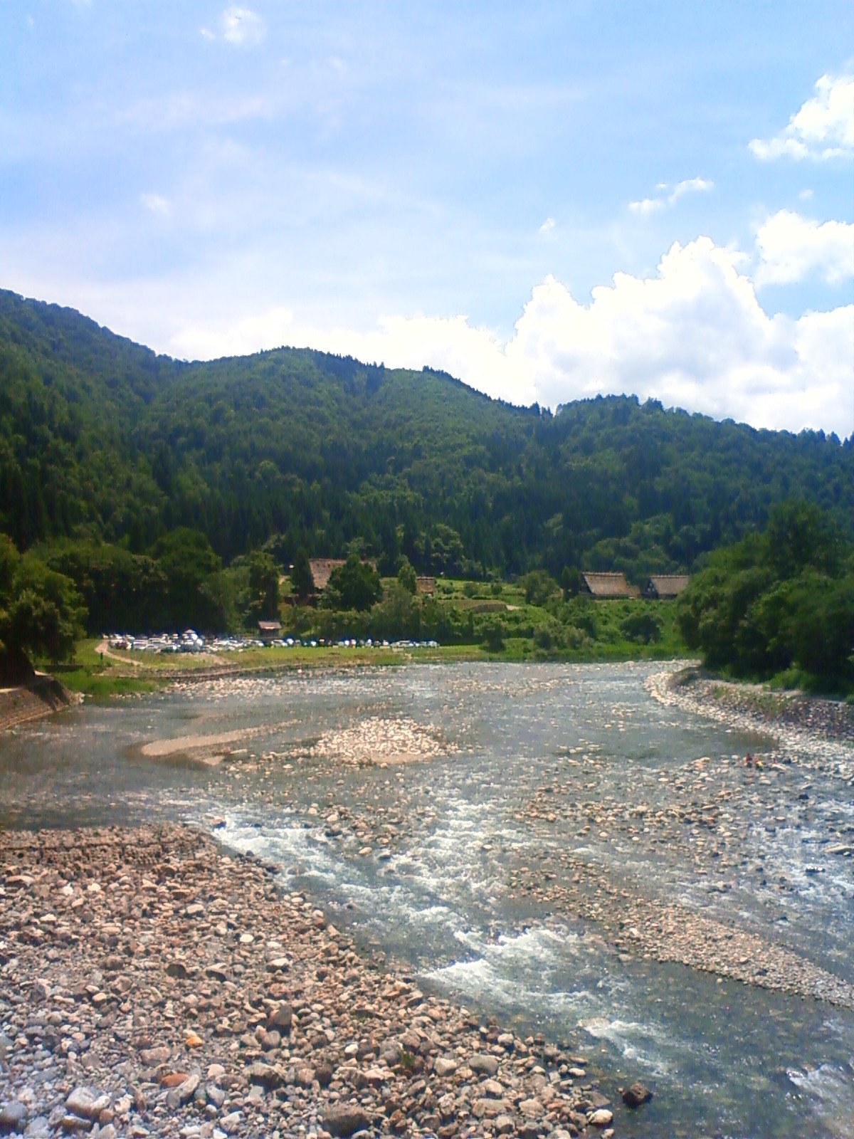 NEC_2431.JPG