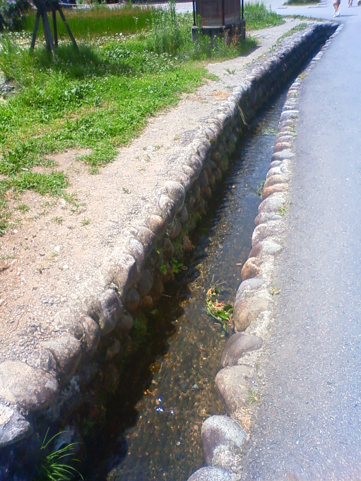 NEC_2433.JPG