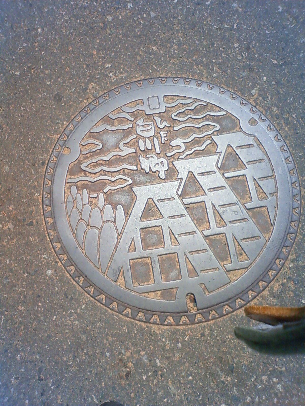 NEC_2434.JPG