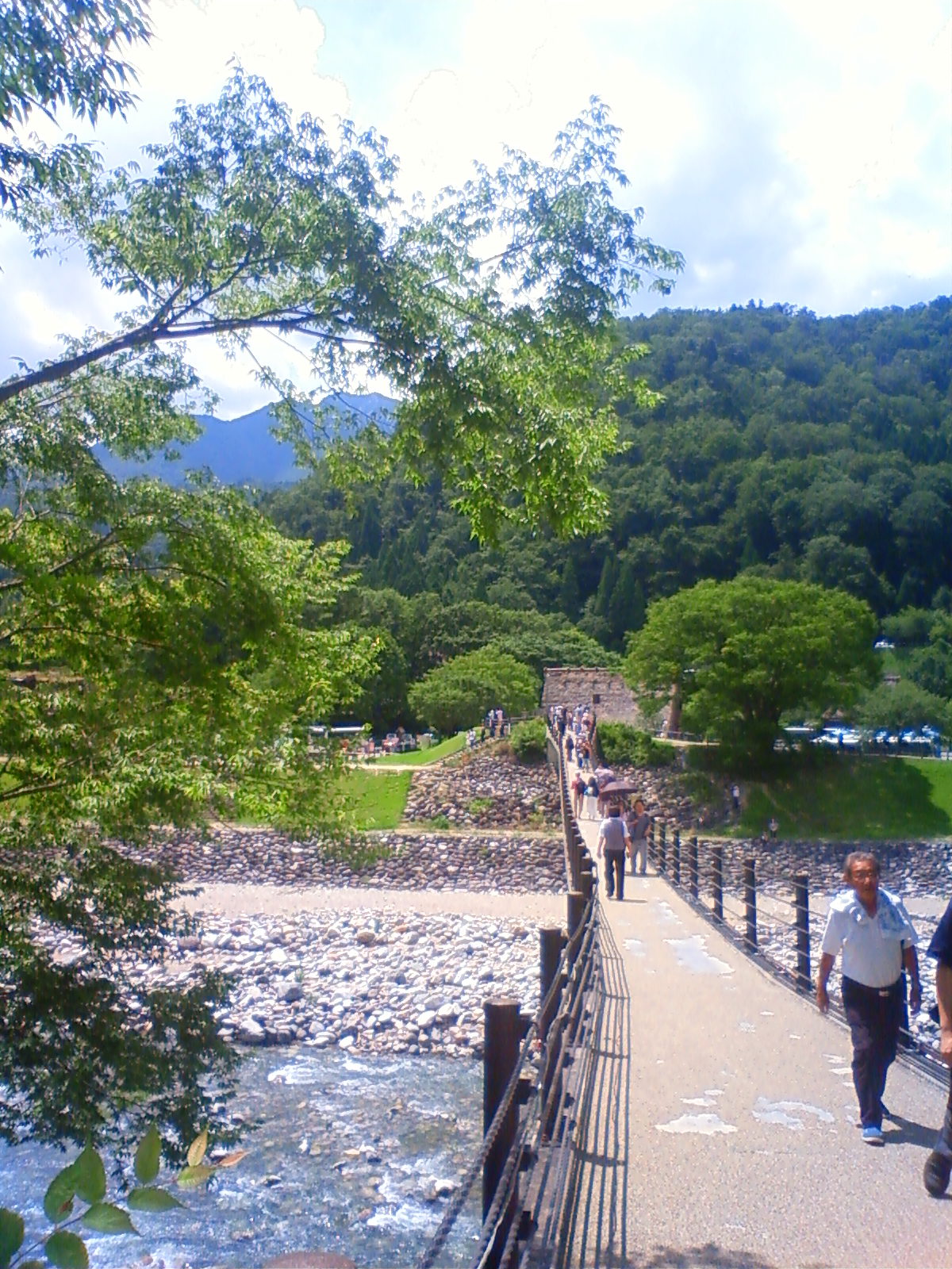 NEC_2438.JPG