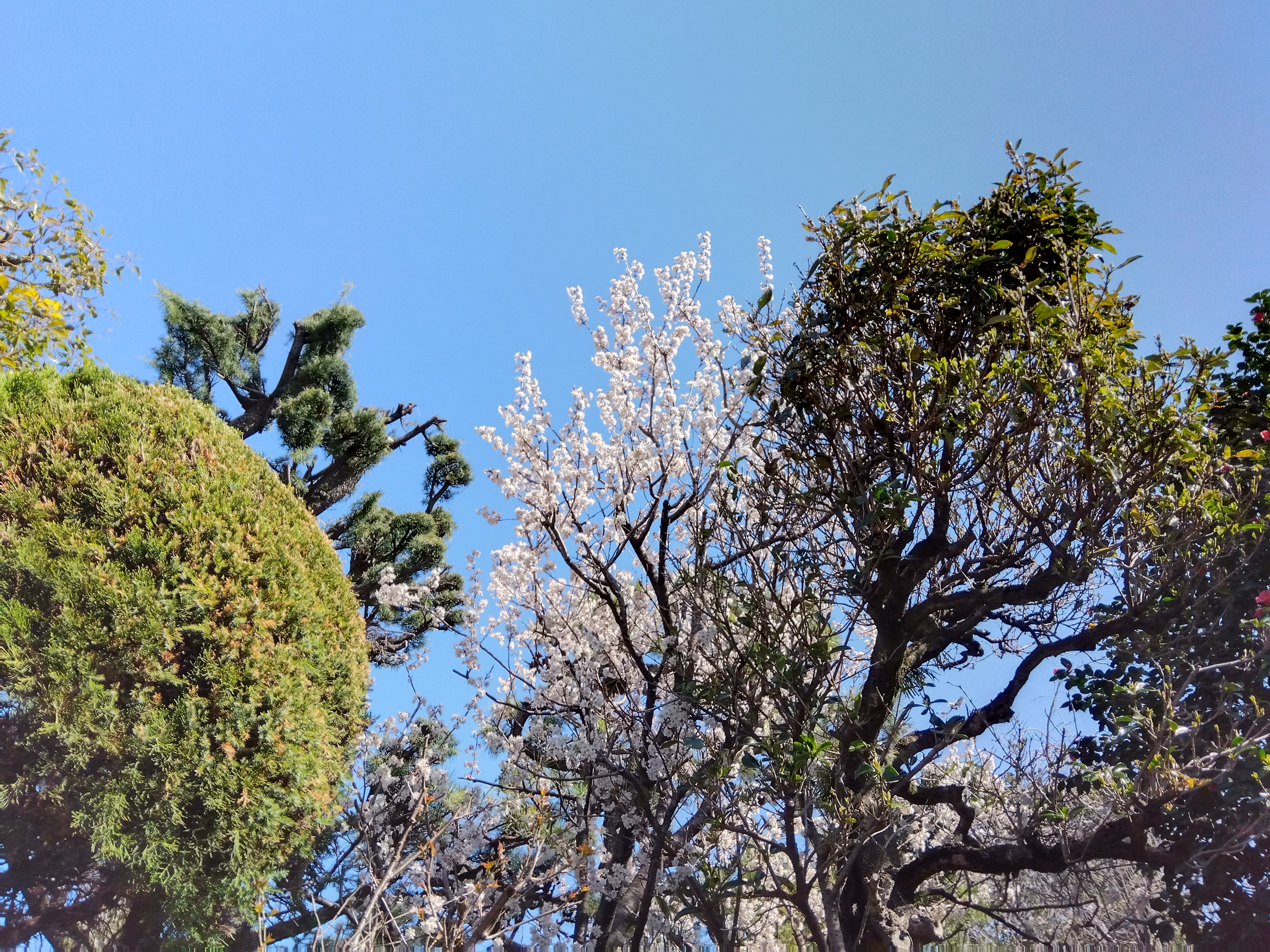 IMG_2023-03-15-09-45-54-968.jpg