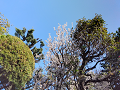 IMG_2023-03-15-09-45-54-968_thumb.png