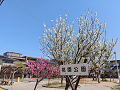 IMG_2023-03-15-10-16-41-173_thumb.png
