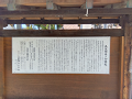 IMG_2023-03-15-11-00-55-099_thumb.png