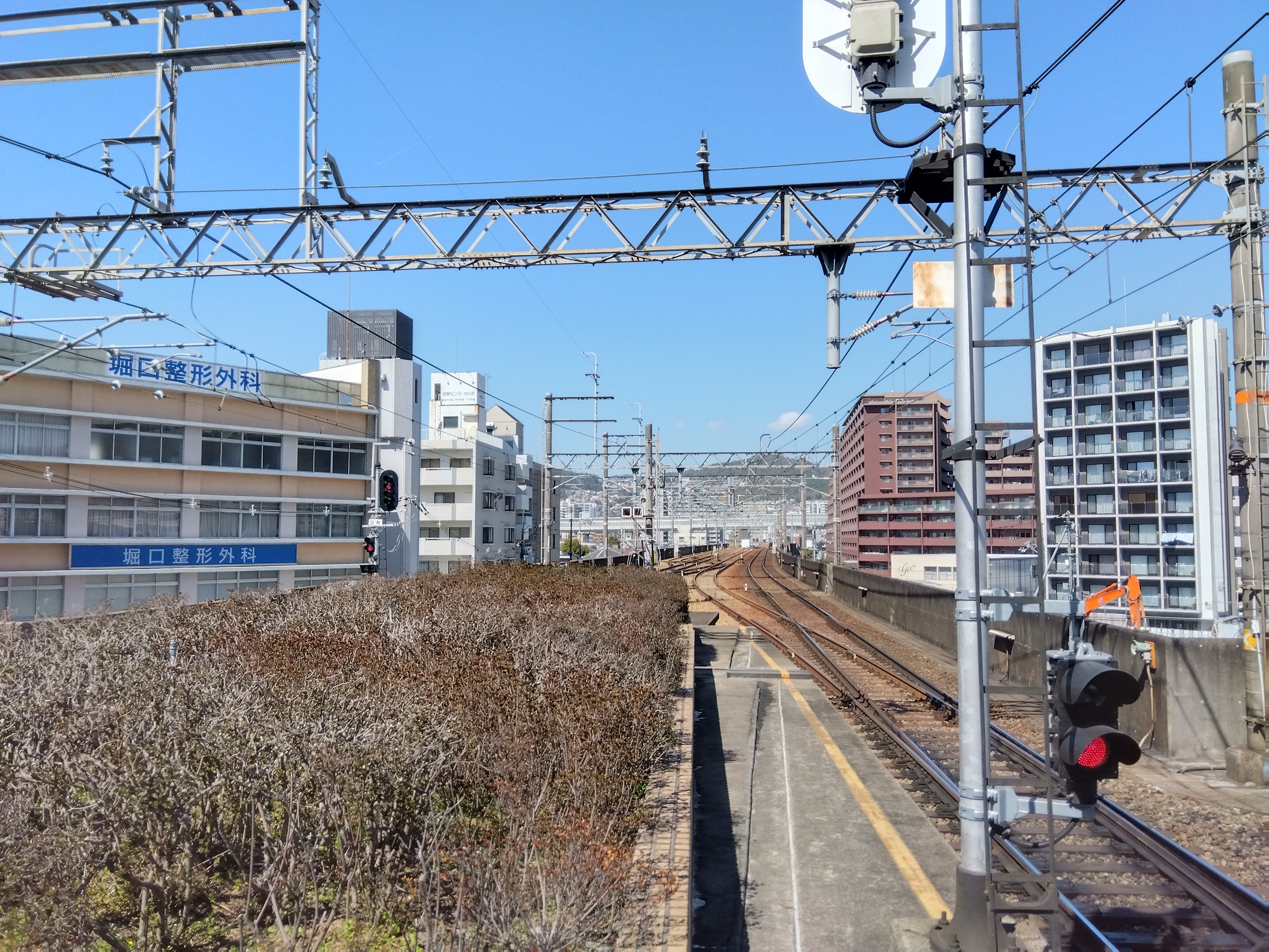 IMG_2023-03-15-11-13-04-481.jpg