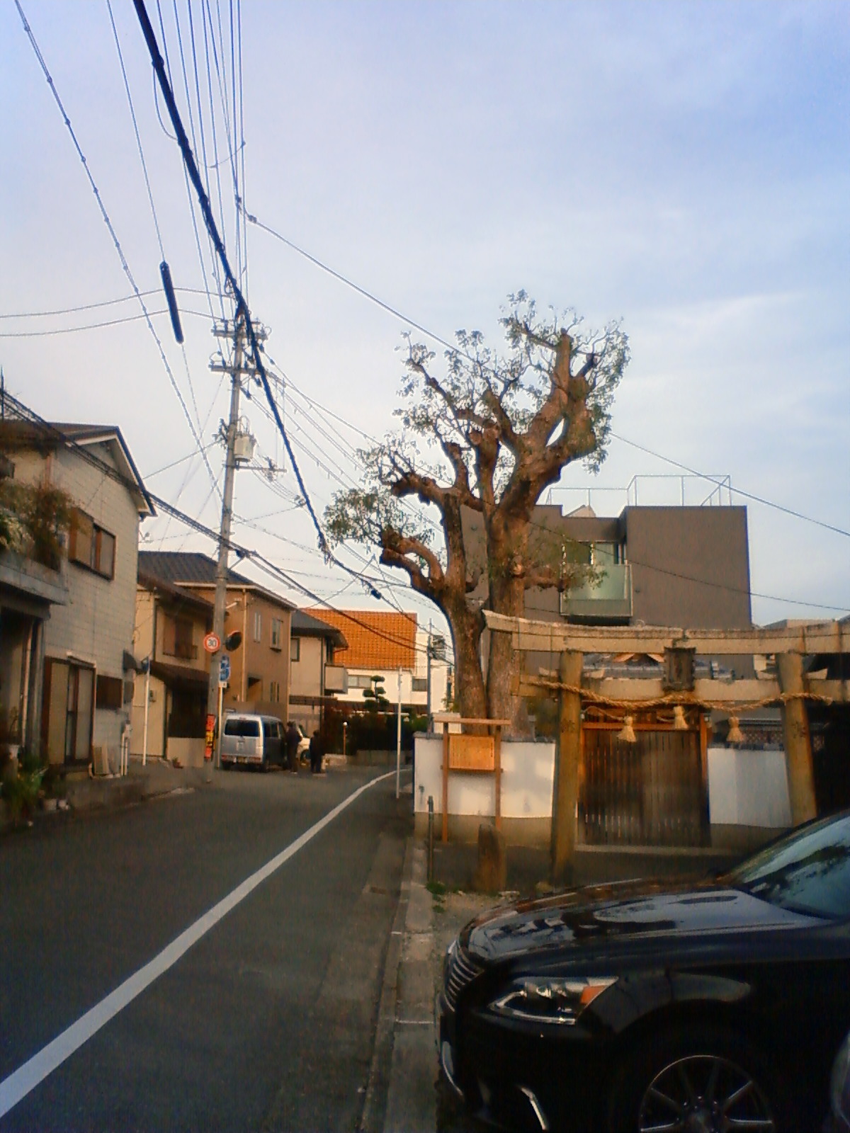 NEC_0231.JPG