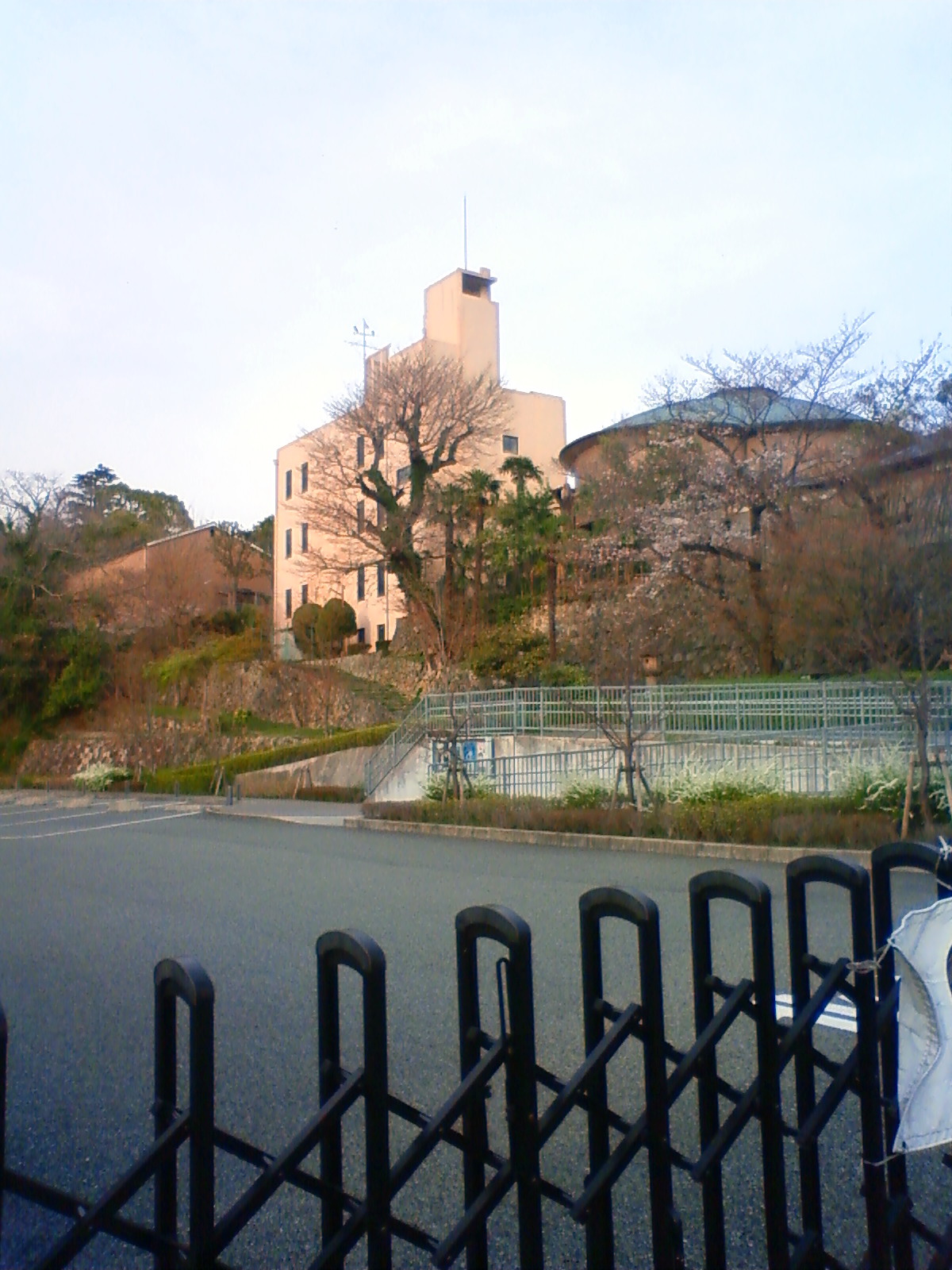 NEC_0233.JPG