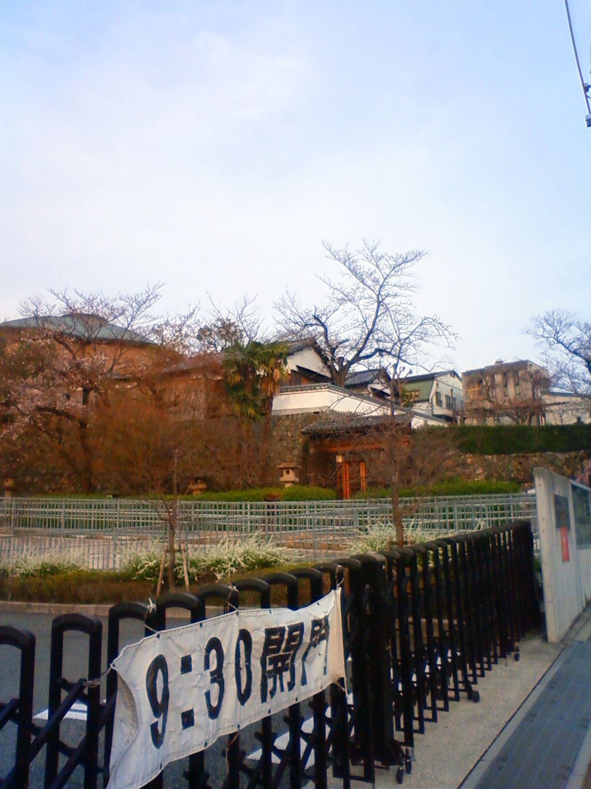 NEC_0234.JPG