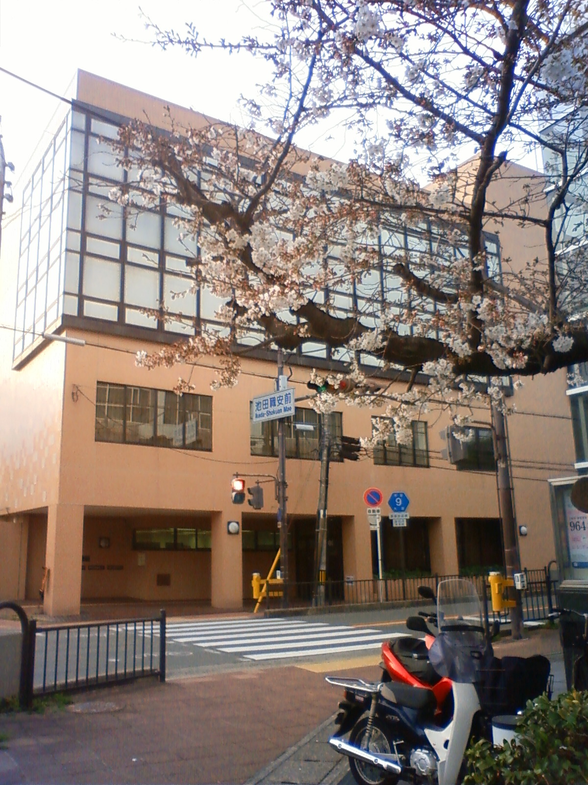 NEC_0237.JPG