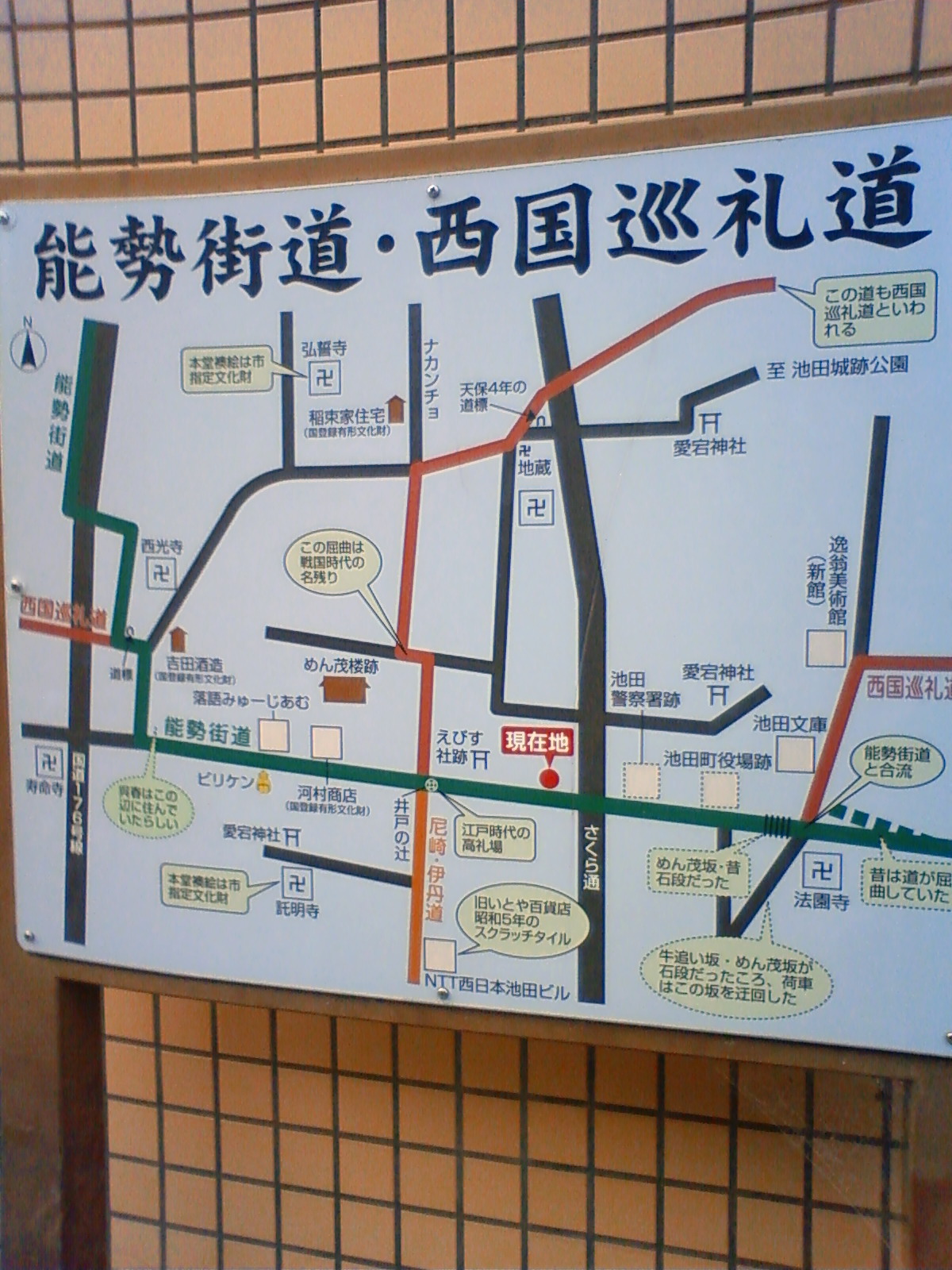NEC_0240.JPG
