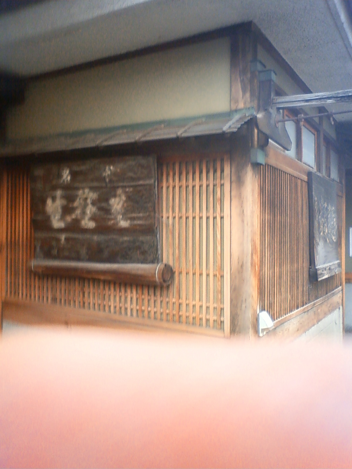 NEC_0247.JPG