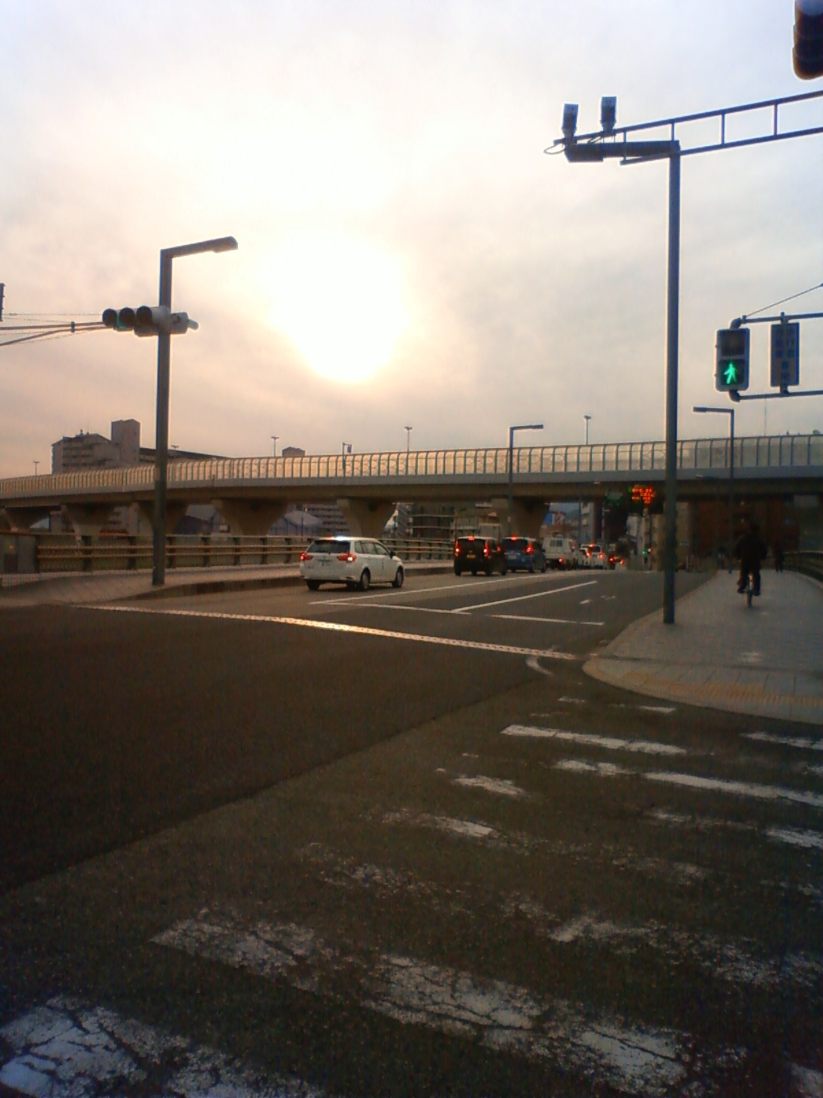 NEC_0250.JPG