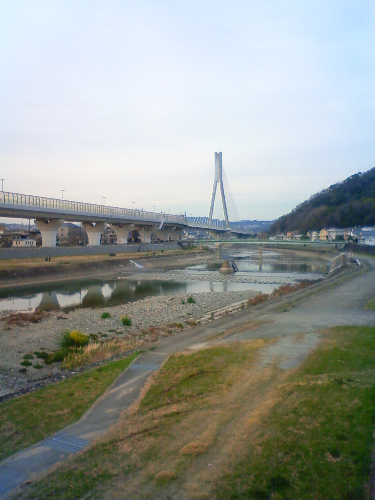 NEC_0252.JPG