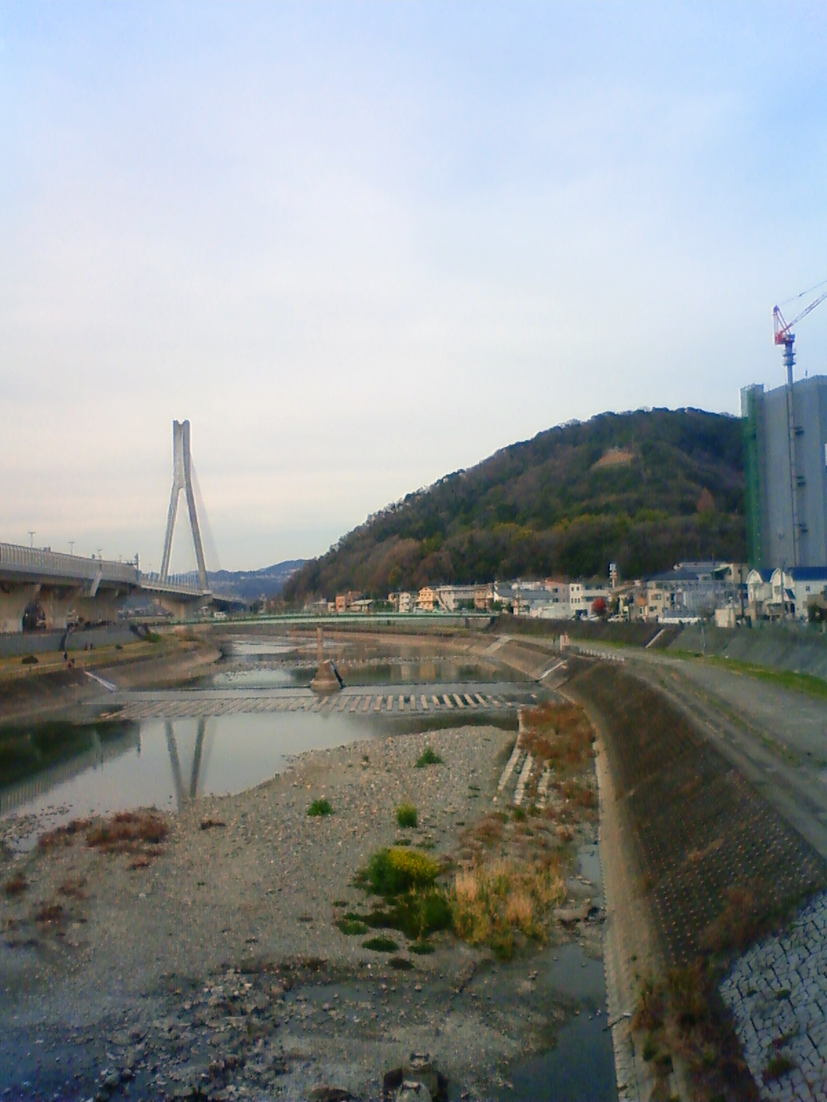 NEC_0254.JPG