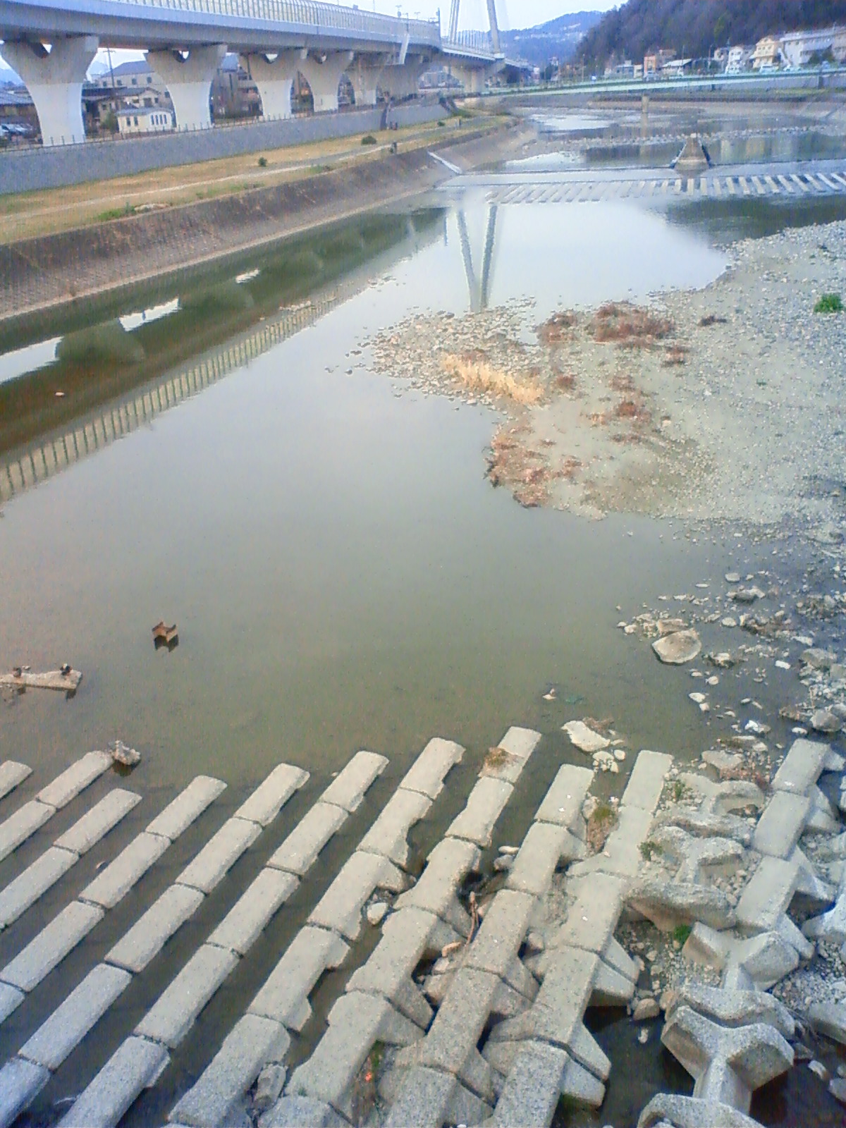 NEC_0255.JPG