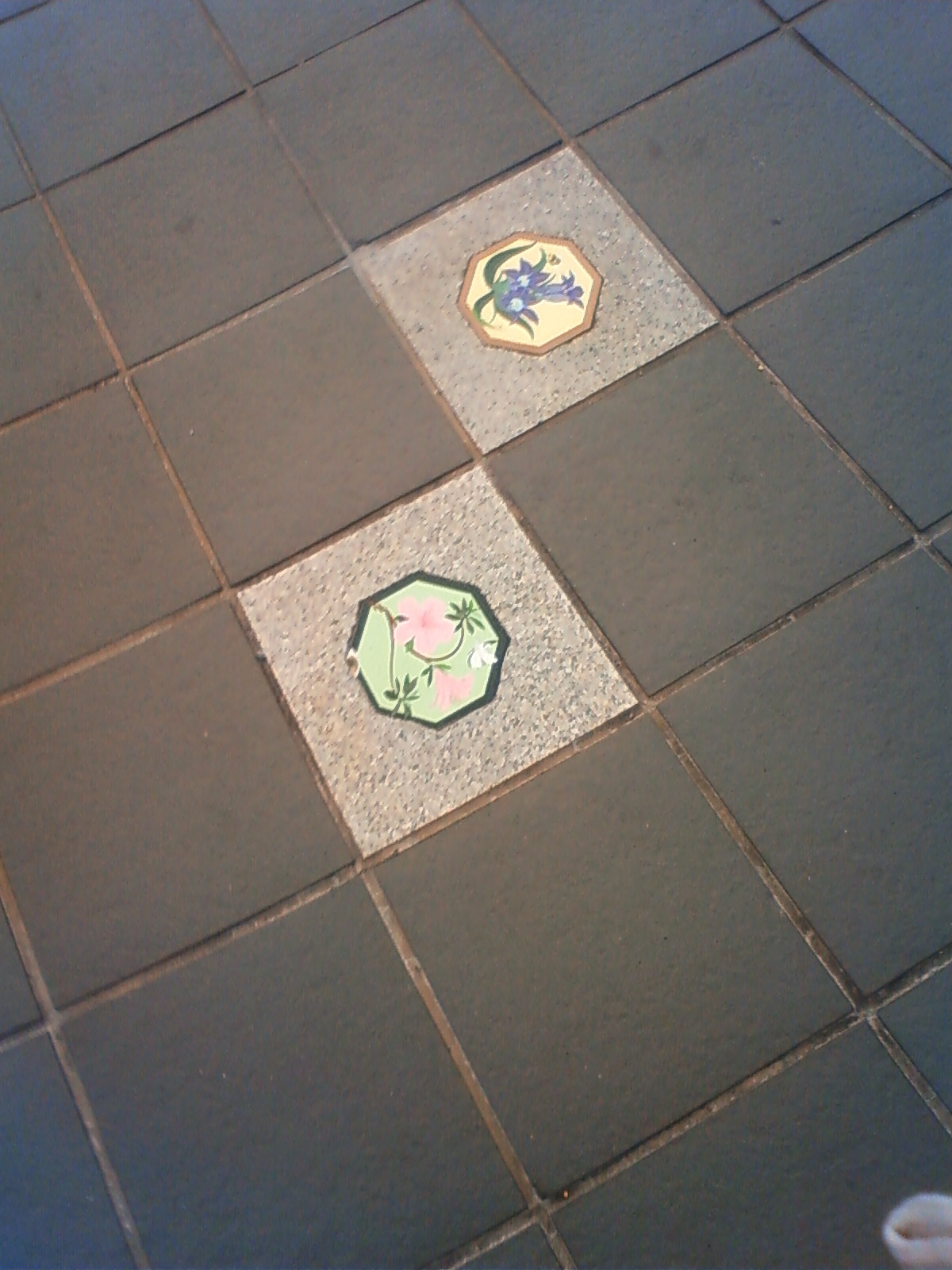 NEC_0256.JPG