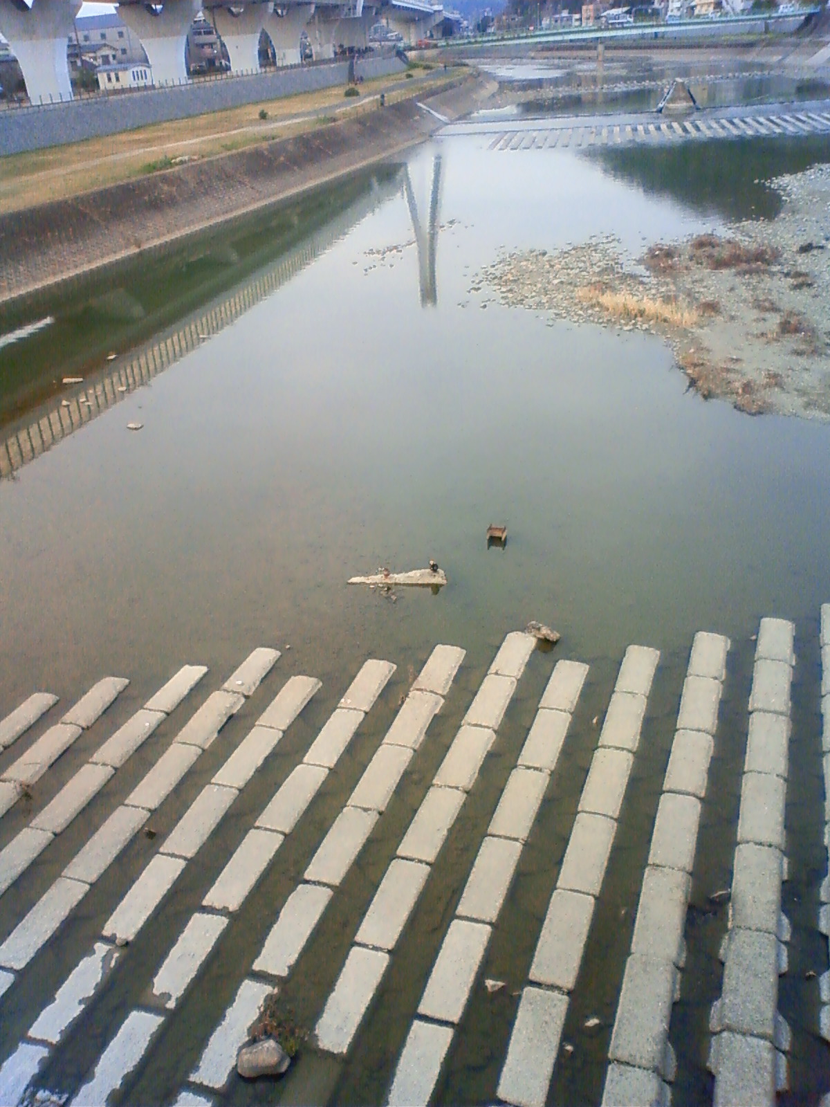 NEC_0257.JPG
