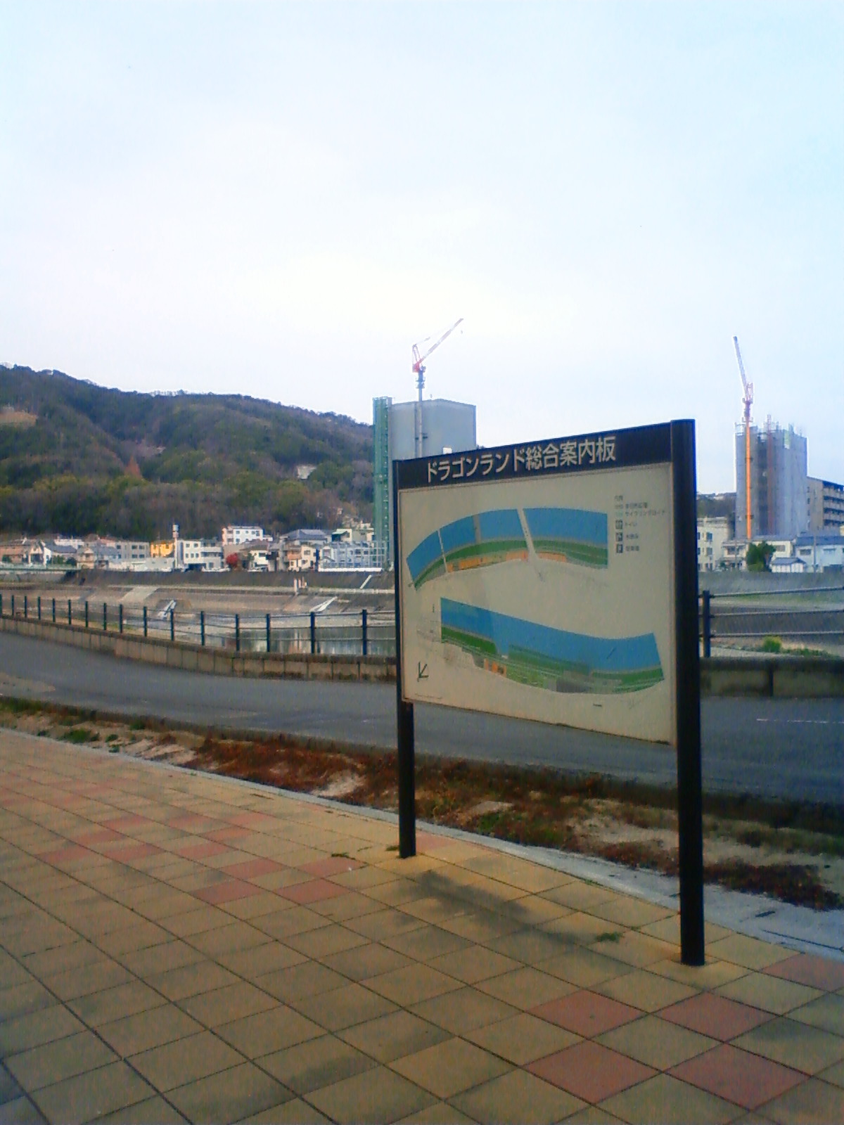 NEC_0262.JPG