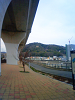 NEC_0263_thumb.png