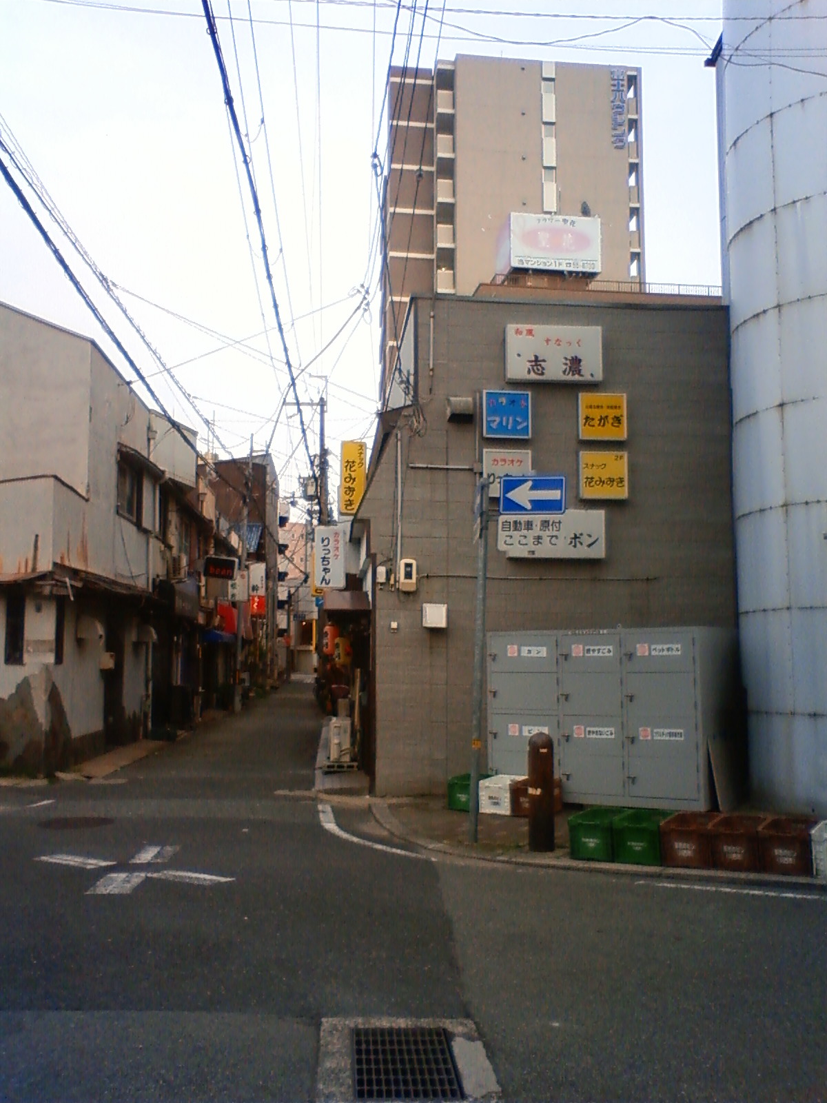 NEC_0265.JPG