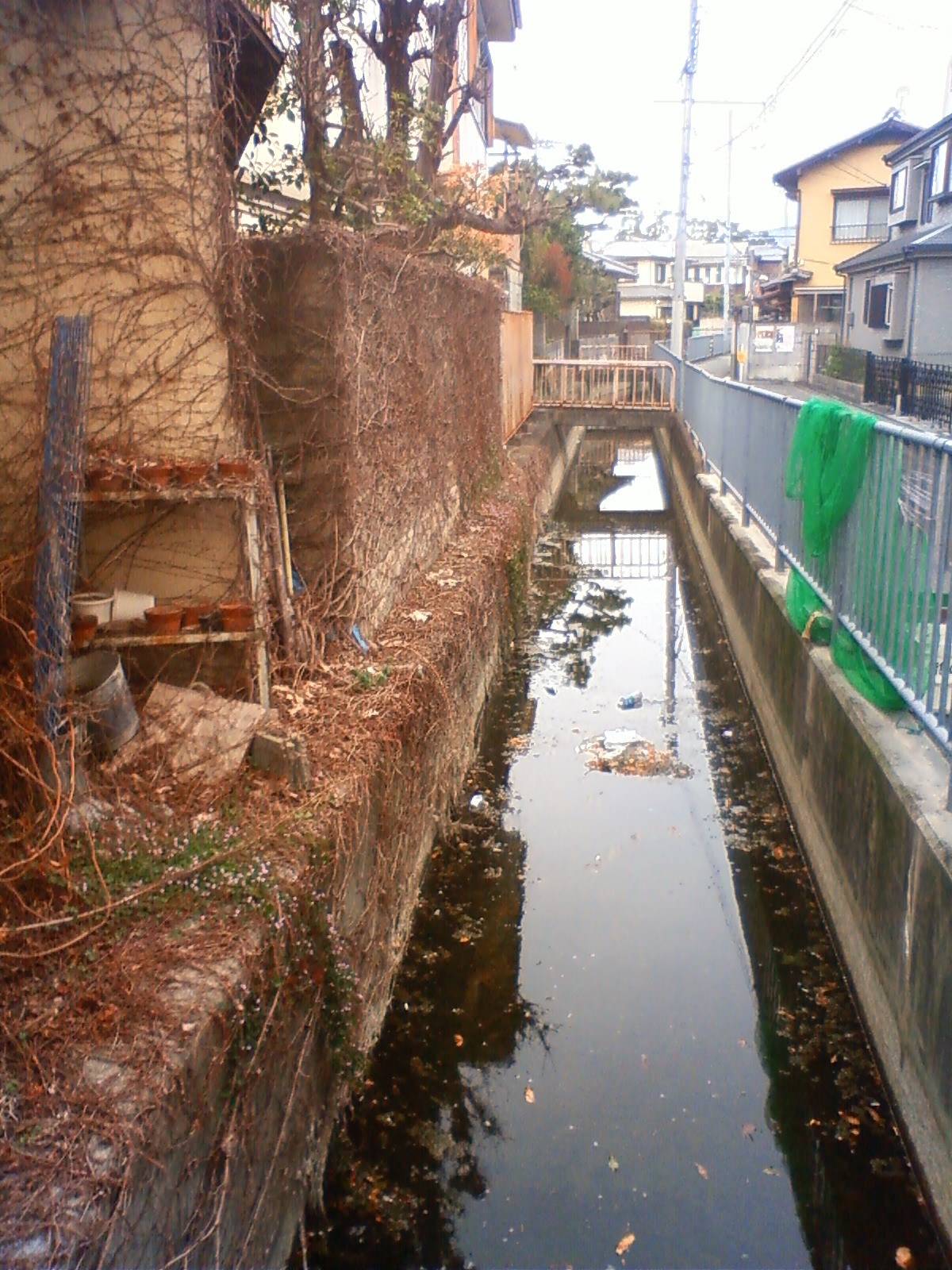 NEC_0268.JPG