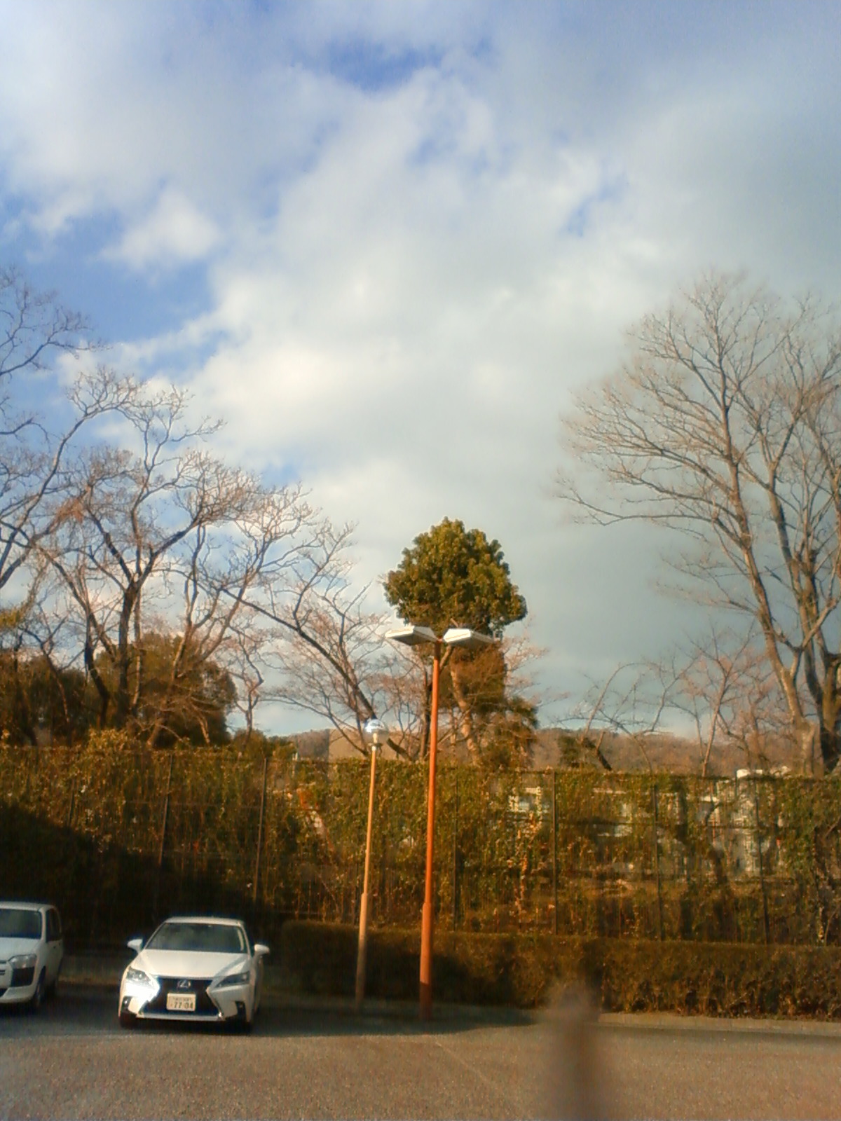 NEC_2004.JPG