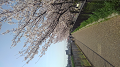 KIMG0413_thumb.png