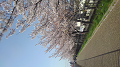 KIMG0415_thumb.png