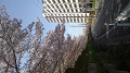 KIMG0416_thumb.png