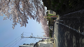 KIMG0417_thumb.png