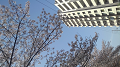 KIMG0419_thumb.png