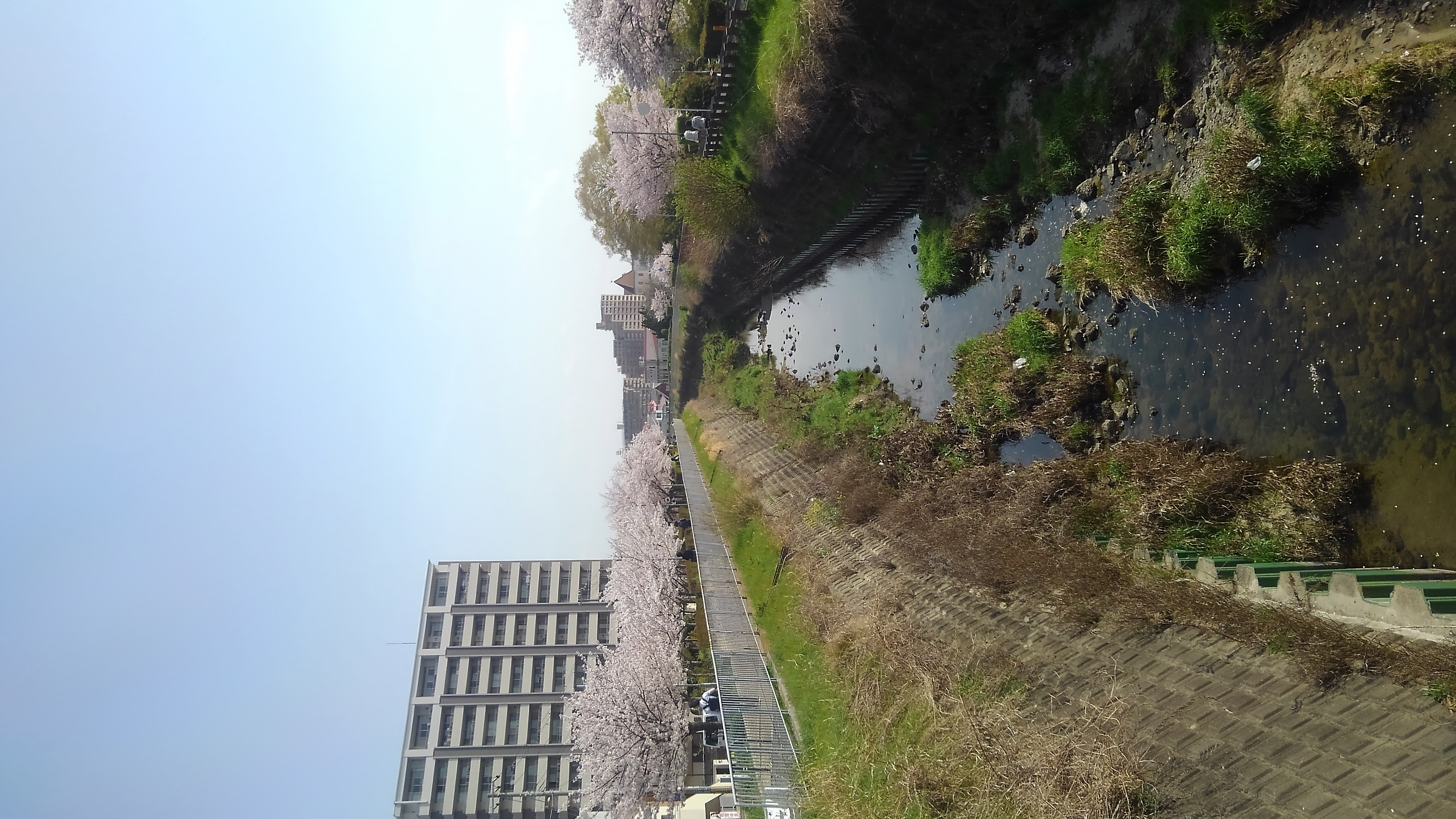 KIMG0422.JPG