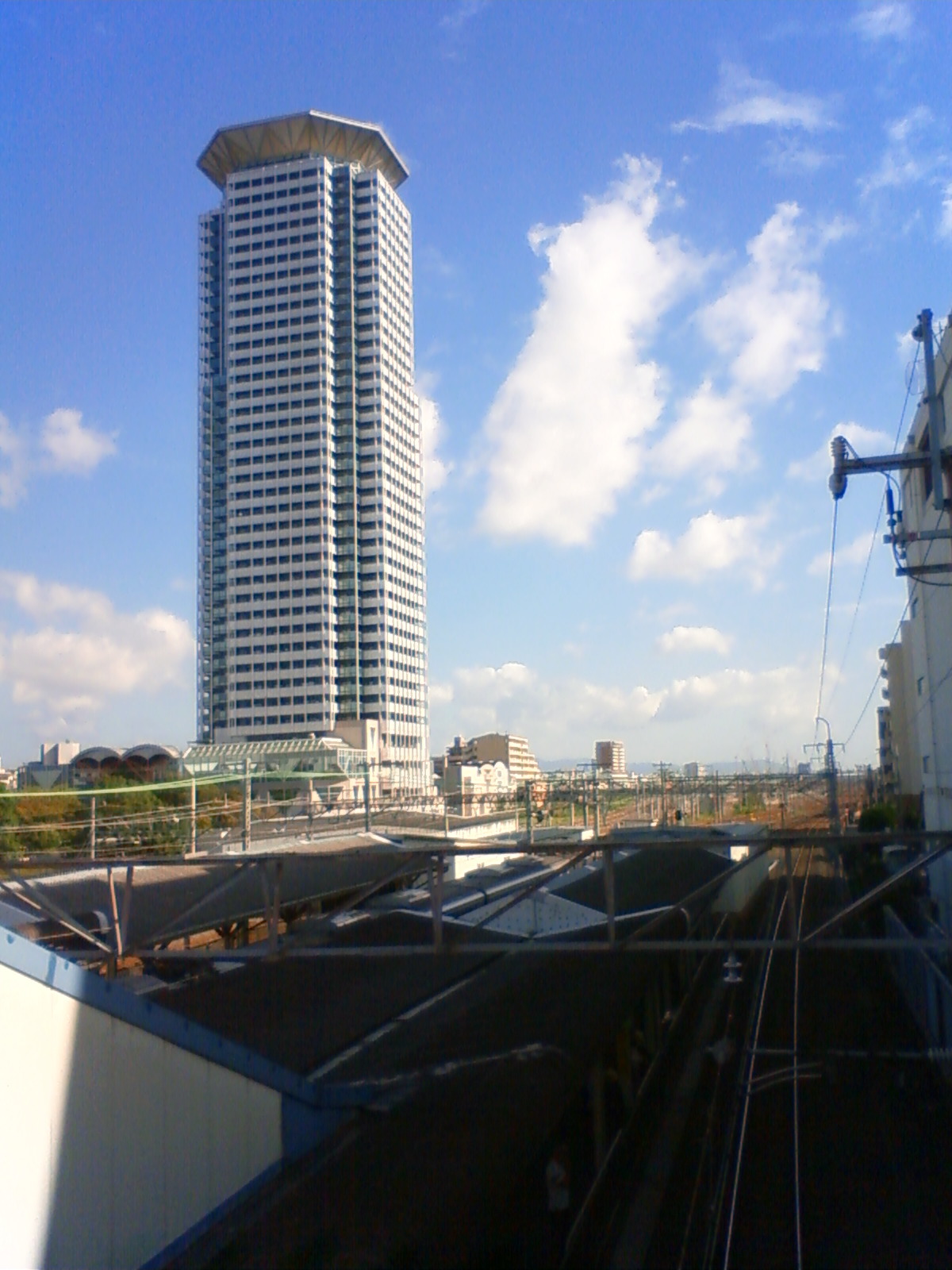 NEC_0826.JPG