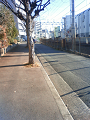NEC_1790_thumb.png