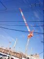 NEC_1792_thumb.png