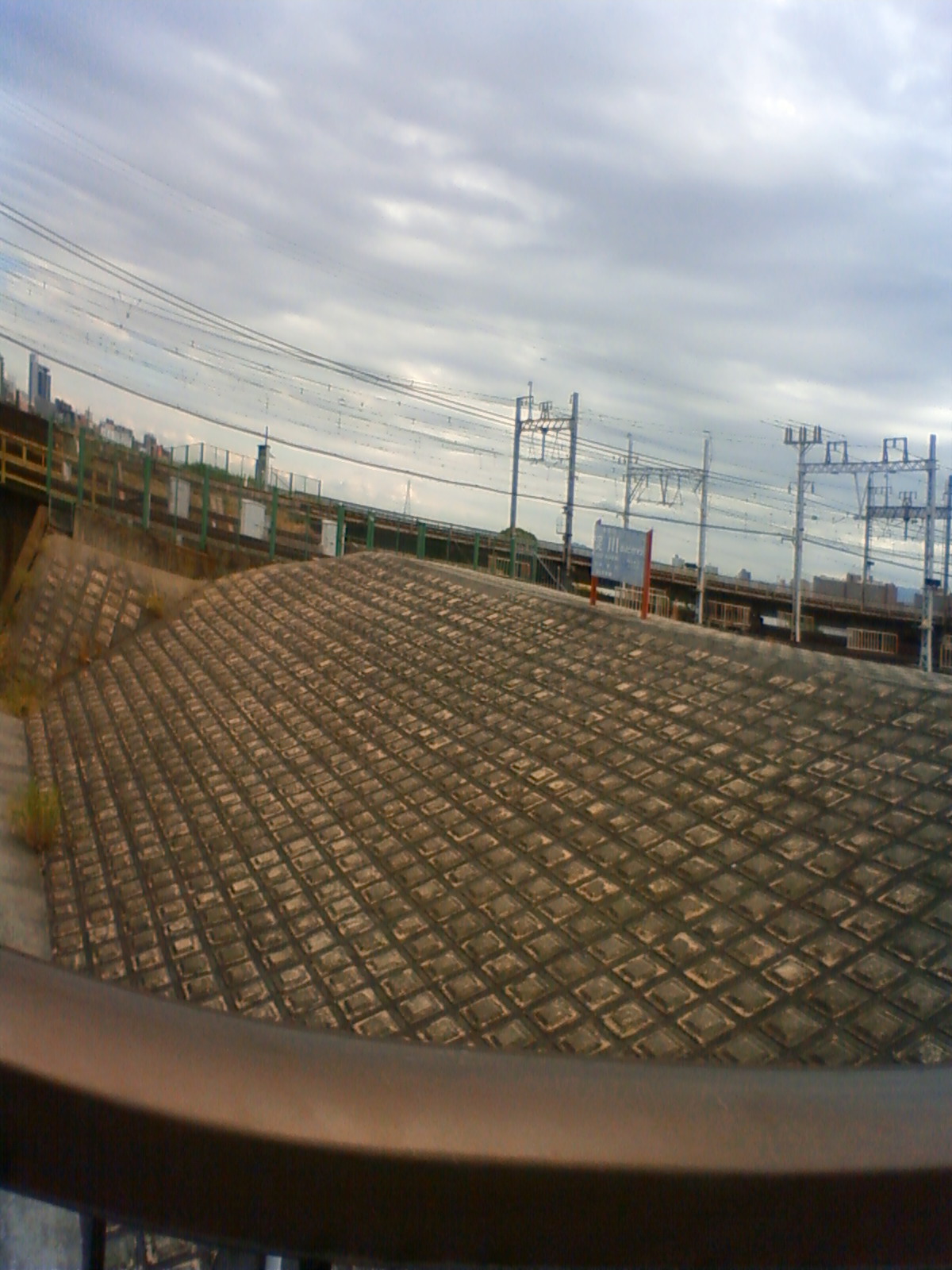 NEC_1543.JPG