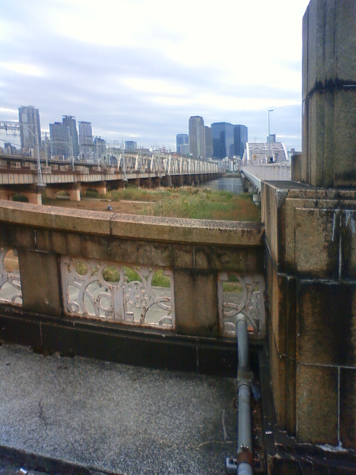 NEC_1547.JPG