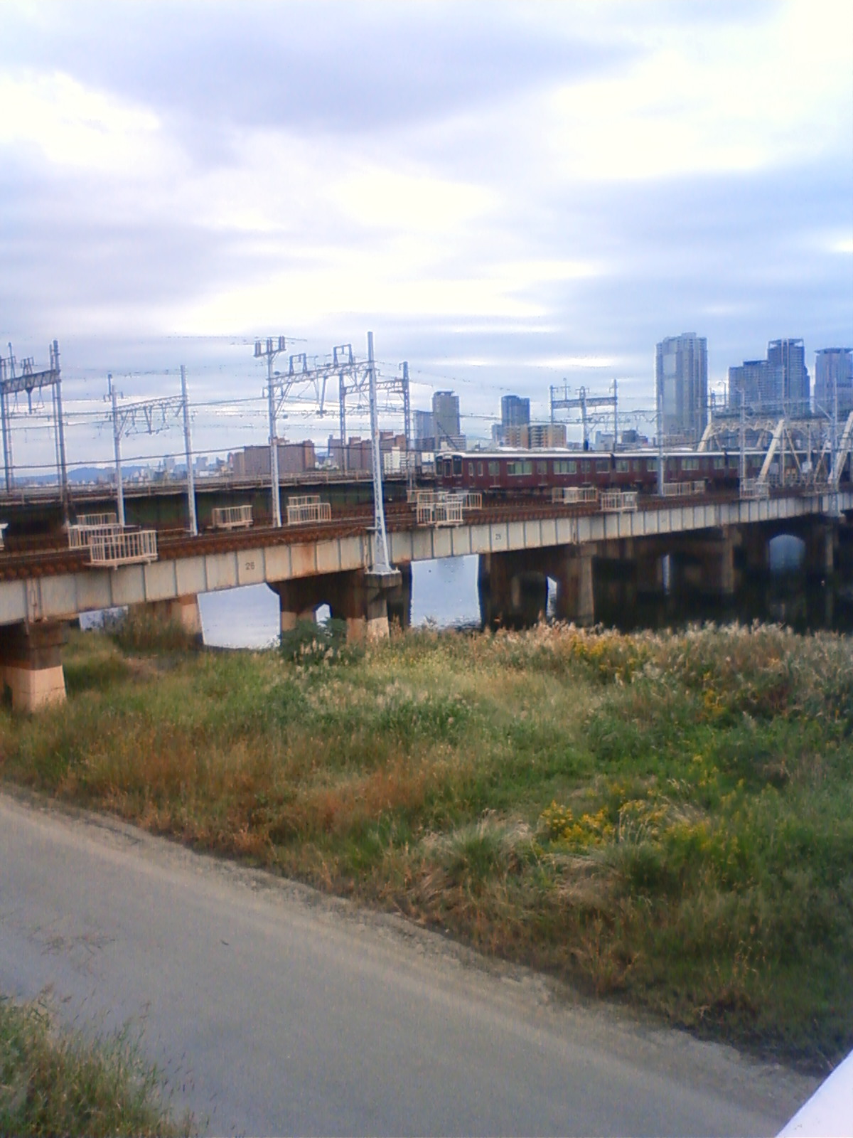 NEC_1549.JPG