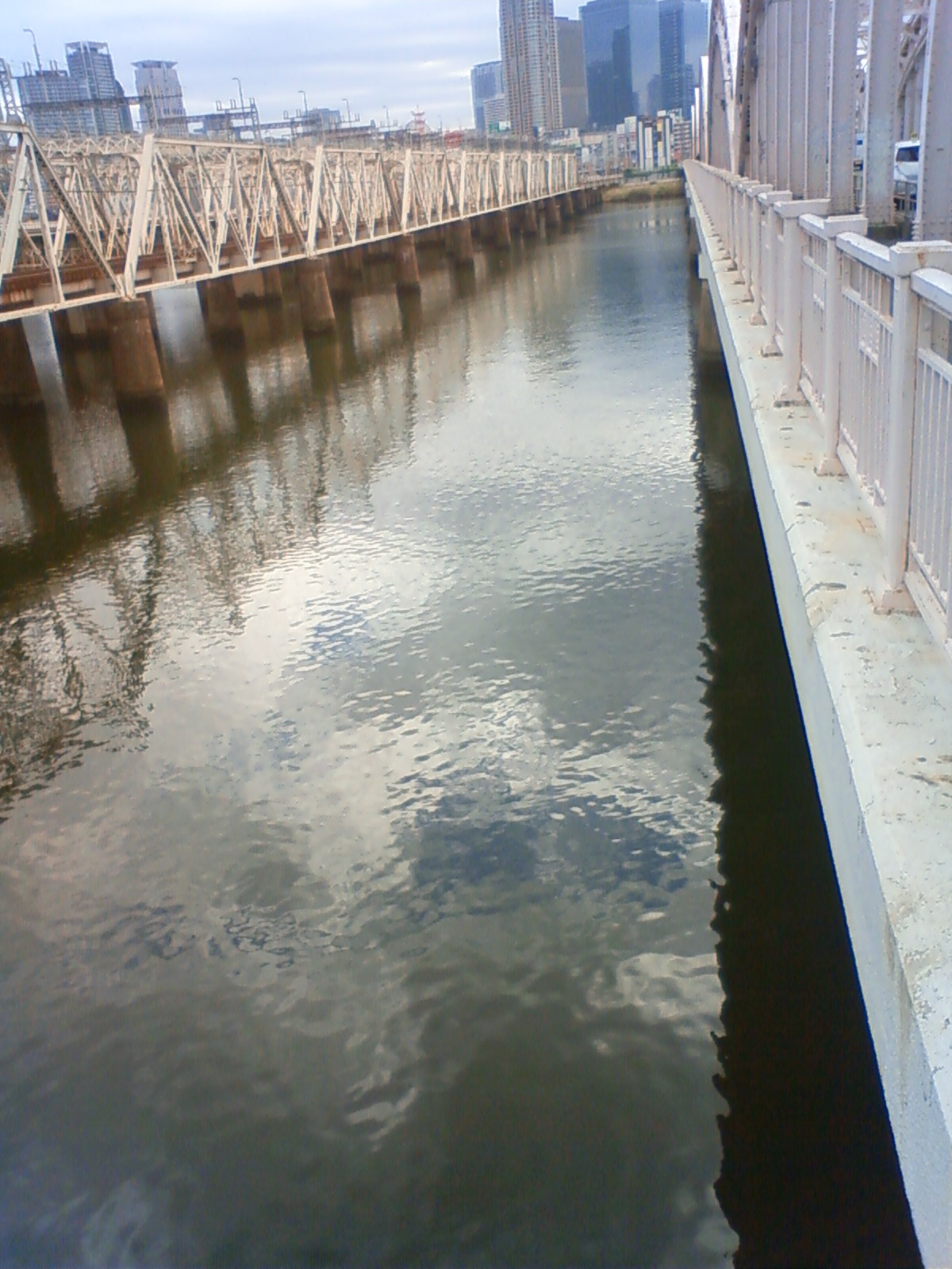 NEC_1552.JPG