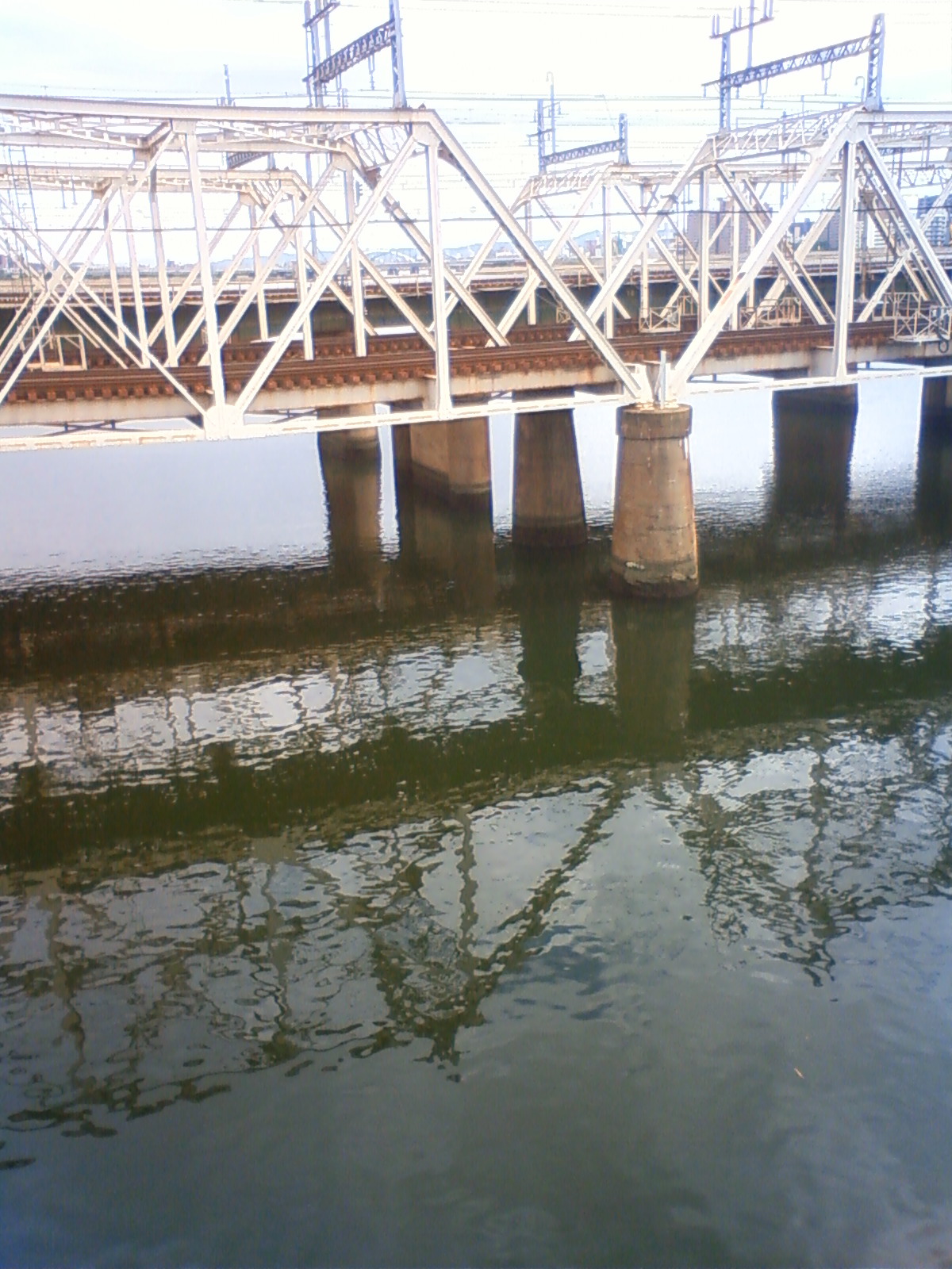 NEC_1554.JPG