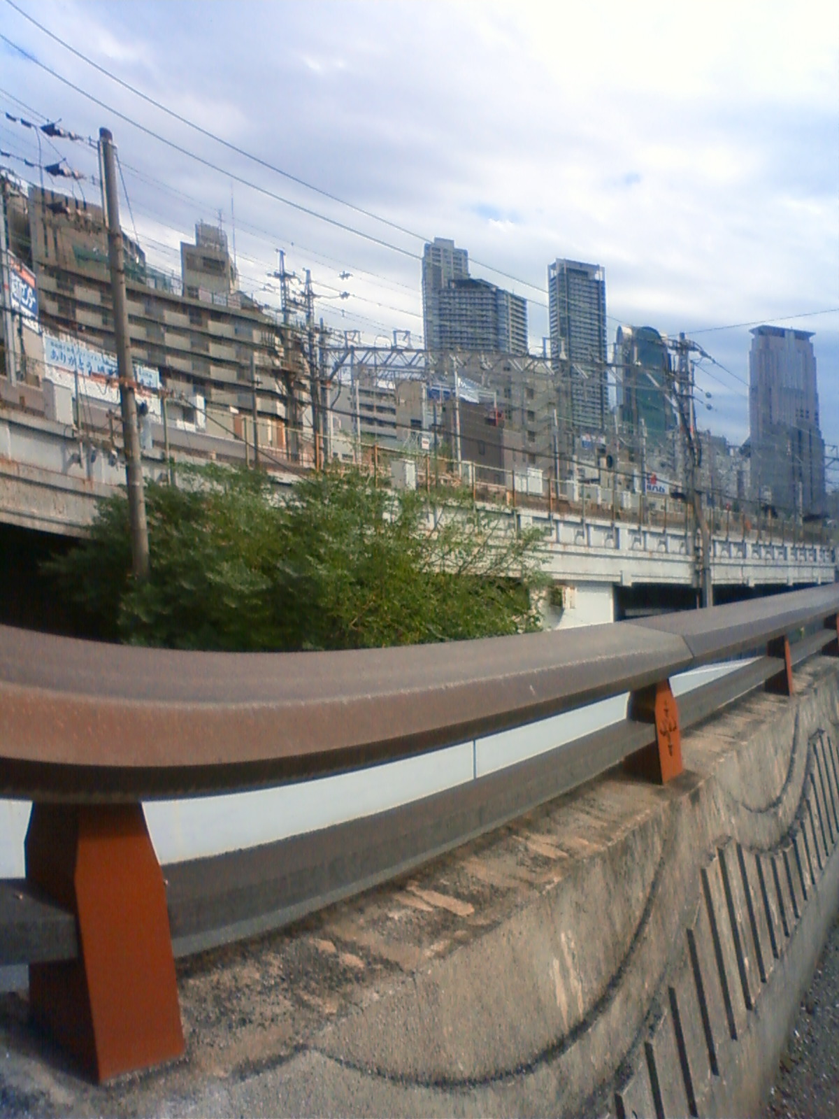 NEC_1557.JPG