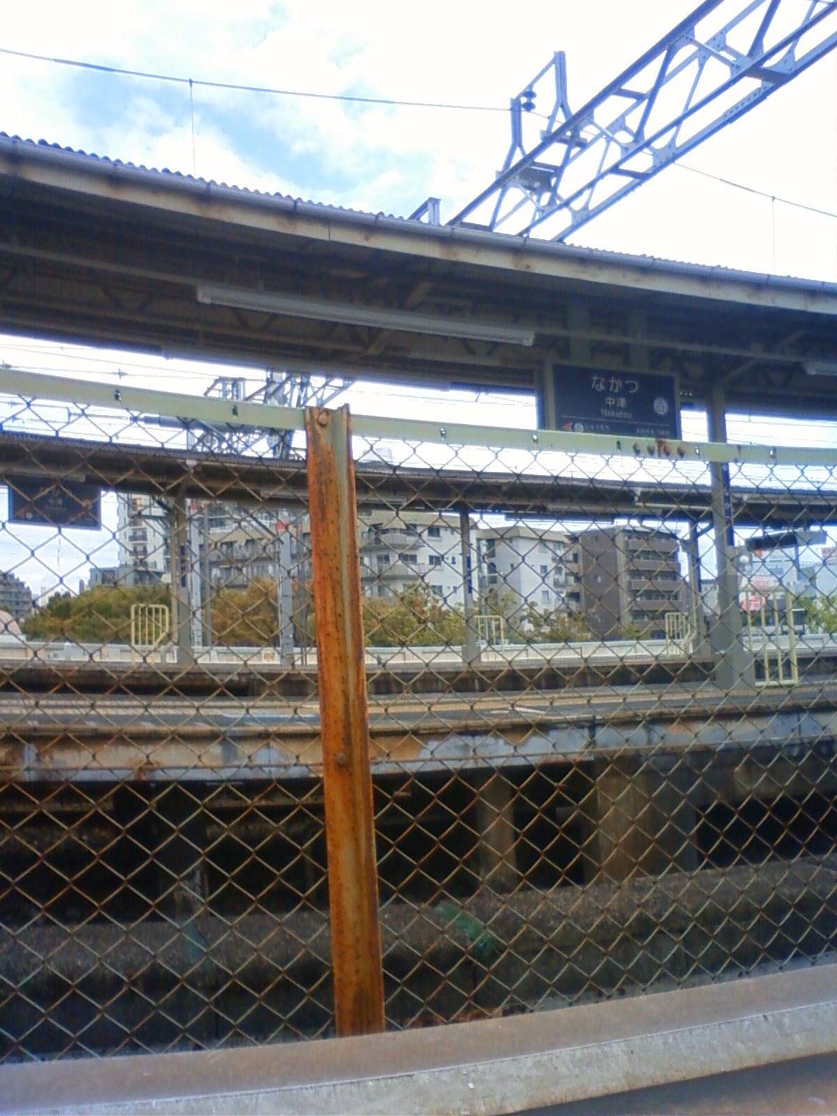 NEC_1559.JPG
