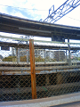NEC_1559_thumb.png