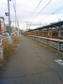 NEC_1562_thumb.png